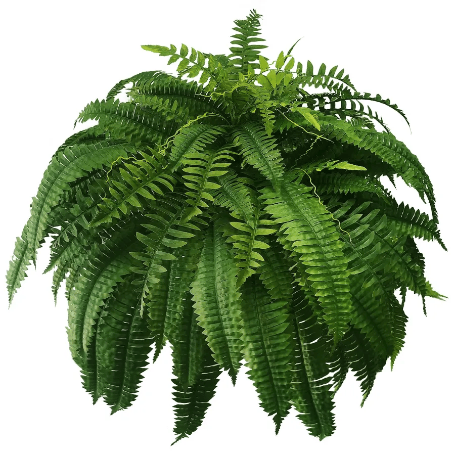 Last Day 75% OFF--UV Resistant Lifelike Artificial Boston Fern